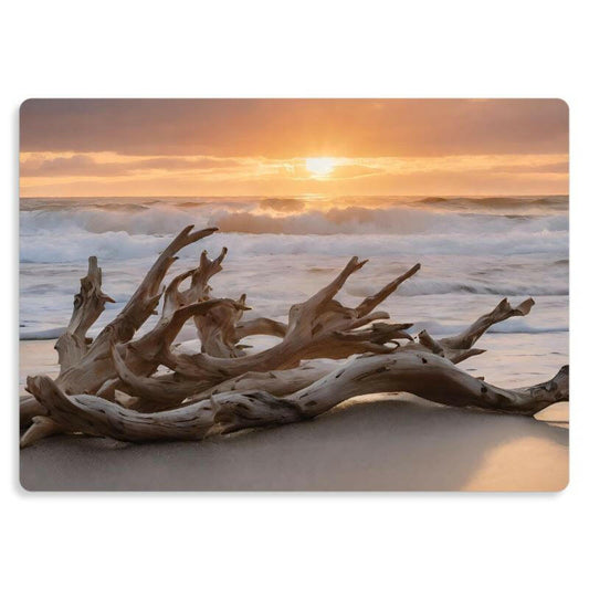 Metal Print- "Driftwood Dreams".