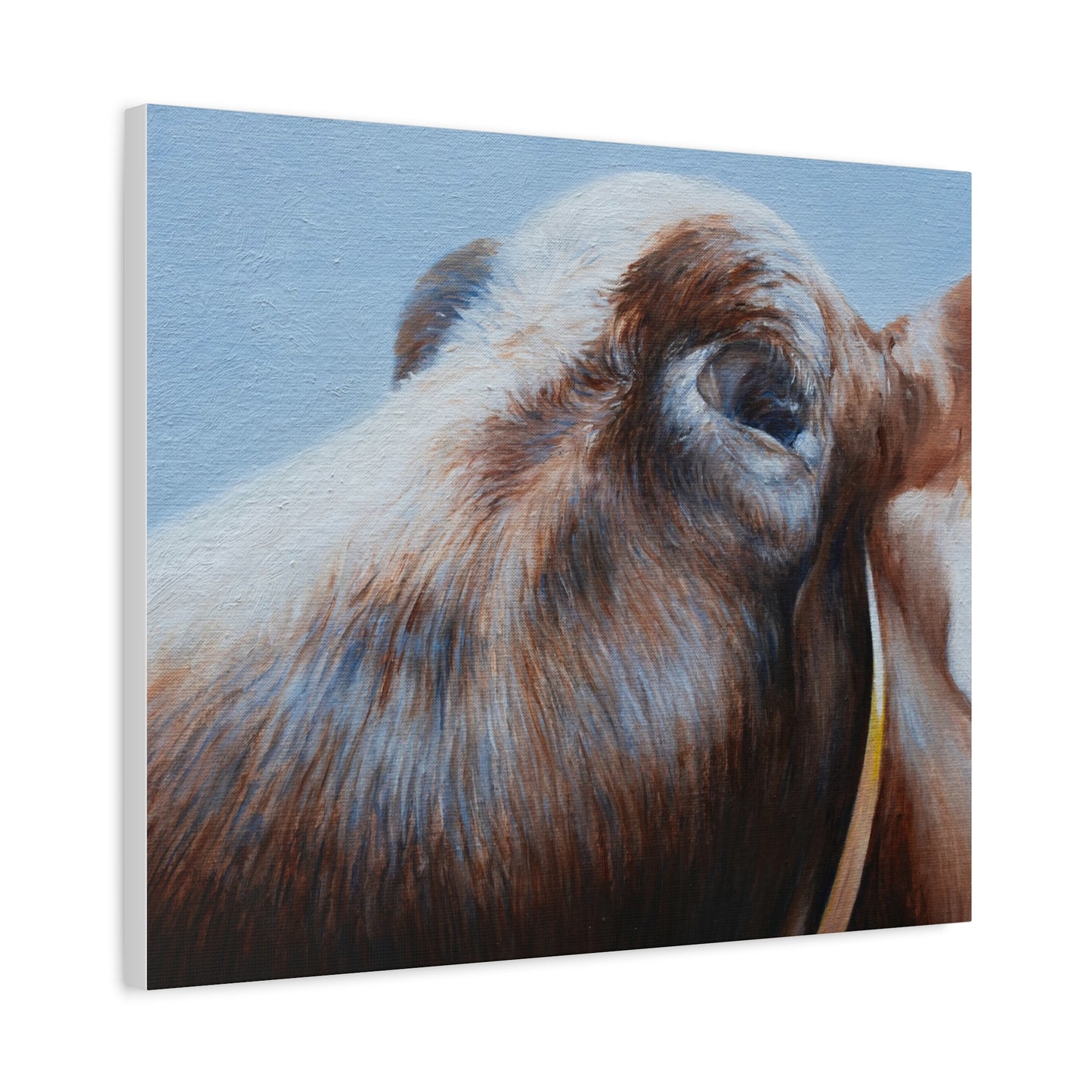 Farmhouse Chic Cow Art Canvas - Perfect for Country Decor